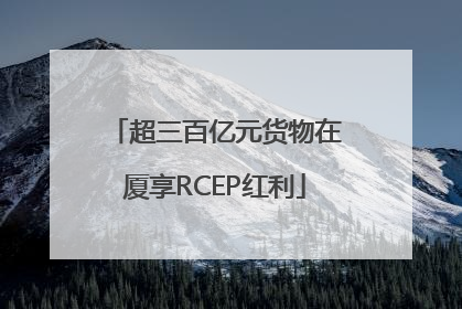 超三百亿元货物在厦享RCEP红利