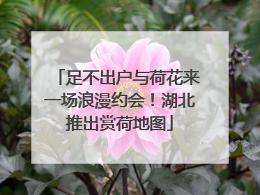 足不出户与荷花来一场浪漫约会！湖北推出赏荷地图