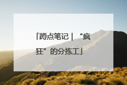 蹲点笔记｜“疯狂”的分拣工