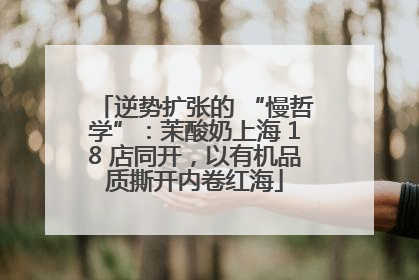 逆势扩张的 “慢哲学”：茉酸奶上海 18 店同开，以有机品质撕开内卷红海