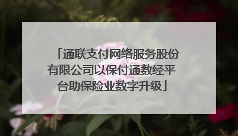 通联支付网络服务股份有限公司以保付通数经平台助保险业数字升级