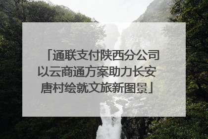 通联支付陕西分公司以云商通方案助力长安唐村绘就文旅新图景