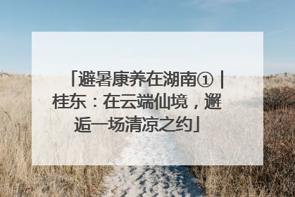 避暑康养在湖南①｜桂东：在云端仙境，邂逅一场清凉之约