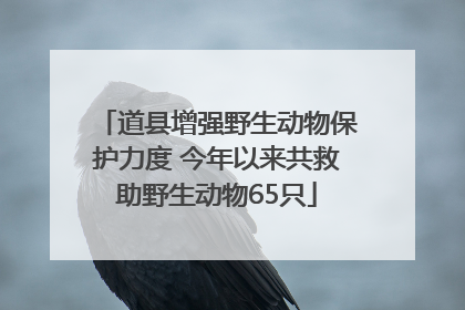 道县增强野生动物保护力度 今年以来共救助野生动物65只