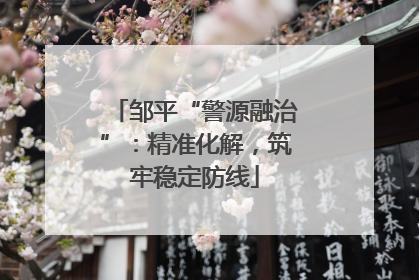 邹平“警源融治”：精准化解，筑牢稳定防线