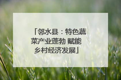 邻水县：特色蔬菜产业蓬勃 赋能乡村经济发展
