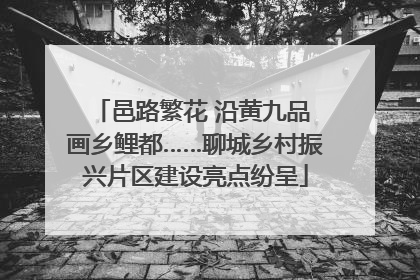 邑路繁花 沿黄九品 画乡鲤都……聊城乡村振兴片区建设亮点纷呈
