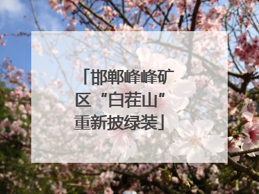 邯郸峰峰矿区“白茬山”重新披绿装