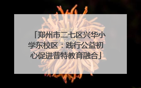 郑州市二七区兴华小学东校区：践行公益初心促进普特教育融合