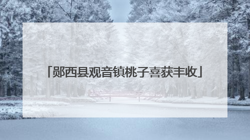 郧西县观音镇桃子喜获丰收