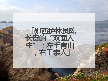 郧西护林员陈长贵的“双面人生”：左手青山，右手亲人