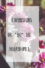 采煤沉陷区“长”出光伏矩阵