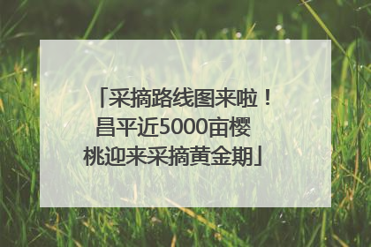 采摘路线图来啦！昌平近5000亩樱桃迎来采摘黄金期