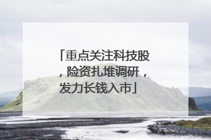 重点关注科技股，险资扎堆调研，发力长钱入市