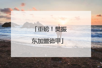 重磅！樊振东加盟德甲