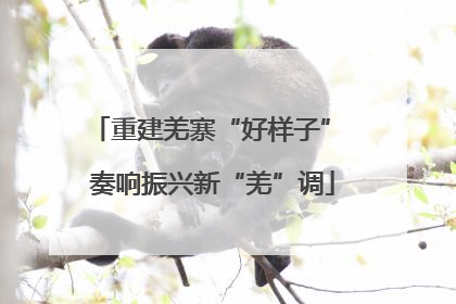 重建羌寨“好样子” 奏响振兴新“羌”调