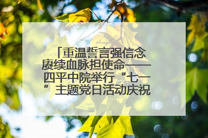 重温誓言强信念 赓续血脉担使命——四平中院举行“七一”主题党日活动庆祝建党104周年