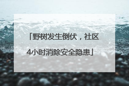 野树发生倒伏，社区4小时消除安全隐患