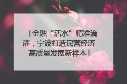 金融“活水”精准滴灌，宁波打造民营经济高质量发展新样本