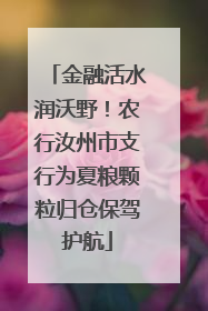 金融活水润沃野！农行汝州市支行为夏粮颗粒归仓保驾护航