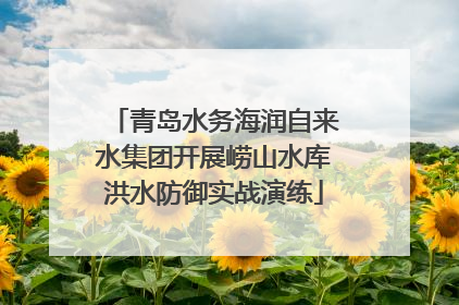 青岛水务海润自来水集团开展崂山水库洪水防御实战演练