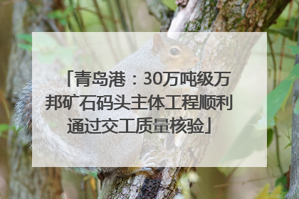 青岛港：30万吨级万邦矿石码头主体工程顺利通过交工质量核验