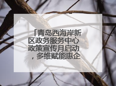 青岛西海岸新区政务服务中心政策宣传月启动，多维赋能惠企便民服务升级