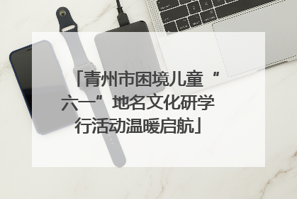 青州市困境儿童“六一”地名文化研学行活动温暖启航