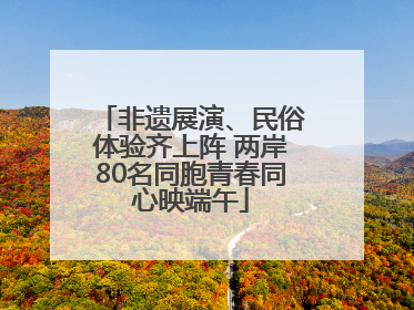 非遗展演、民俗体验齐上阵 两岸80名同胞青春同心映端午