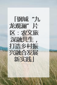 钢城“九龙观澜”片区：农文旅深融共生，打造乡村振兴融合发展新实践