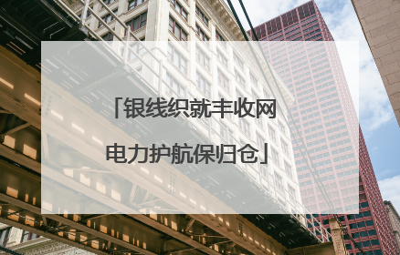 银线织就丰收网 电力护航保归仓