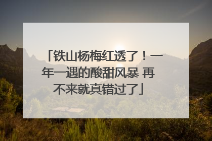 铁山杨梅红透了！一年一遇的酸甜风暴 再不来就真错过了