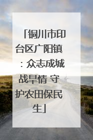 铜川市印台区广阳镇：众志成城战旱情 守护农田保民生