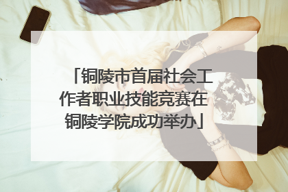铜陵市首届社会工作者职业技能竞赛在铜陵学院成功举办