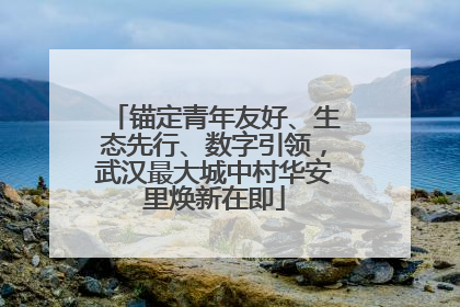 锚定青年友好、生态先行、数字引领，武汉最大城中村华安里焕新在即