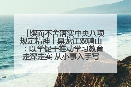 锲而不舍落实中央八项规定精神丨黑龙江双鸭山：以学促干推动学习教育走深走实 从小事入手写好“民生答卷”