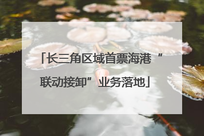 长三角区域首票海港“联动接卸”业务落地