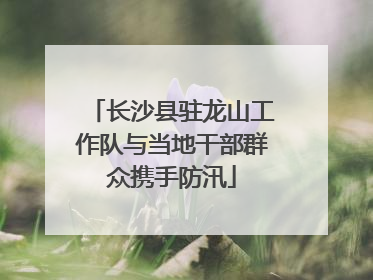 长沙县驻龙山工作队与当地干部群众携手防汛