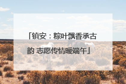 镇安：粽叶飘香承古韵 志愿传情暖端午
