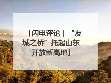 闪电评论｜“友城之桥”托起山东开放新高地