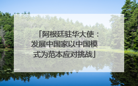 阿根廷驻华大使：发展中国家以中国模式为范本应对挑战