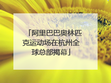阿里巴巴奥林匹克运动场在杭州全球总部揭幕
