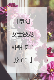 阜阳一女士被龙虾钳卡“脖子”