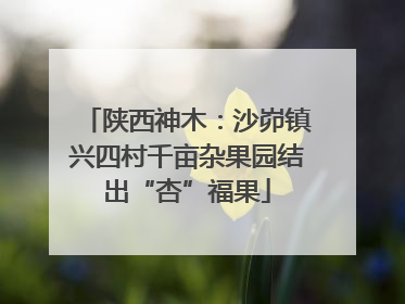 陕西神木：沙峁镇兴四村千亩杂果园结出“杏”福果
