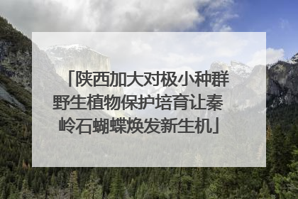 陕西加大对极小种群野生植物保护培育让秦岭石蝴蝶焕发新生机