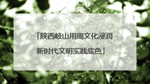 陕西岐山用周文化浸润新时代文明实践底色