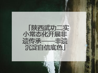 陕西武功二实小常态化开展非遗传承——非遗沉淀自信底色