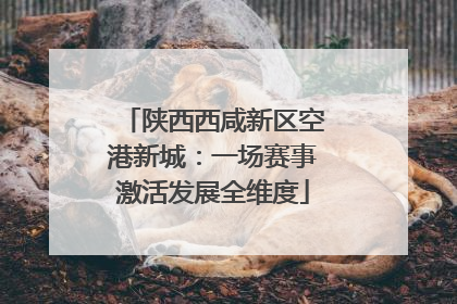 陕西西咸新区空港新城：一场赛事激活发展全维度