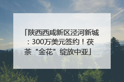 陕西西咸新区泾河新城:300万美元签约!茯茶“金花”绽放中亚