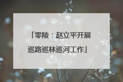 零陵：赵立平开展巡路巡林巡河工作